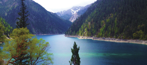 首页 - 欧博ABG官方网站